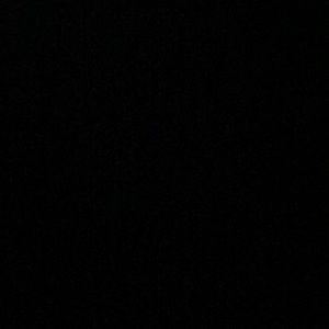 Meet your Posher, Tanner